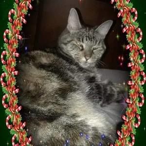 Meet your Posher, Roxie